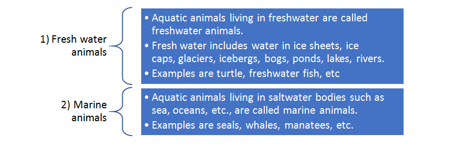 Aquatic Animals