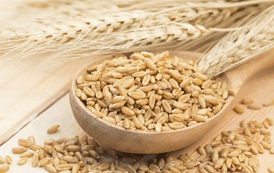 Food Grains