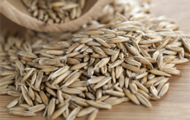 Food Grains